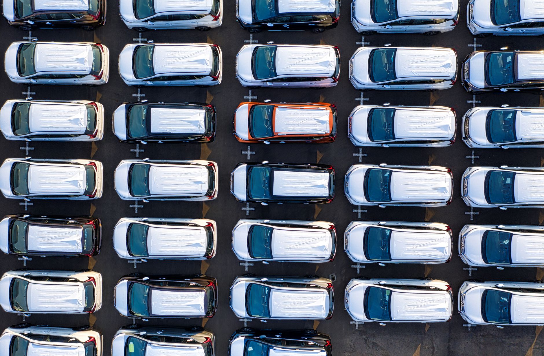 Drone view of contemporary expensive many rows of automobiles of manufacture in daytime