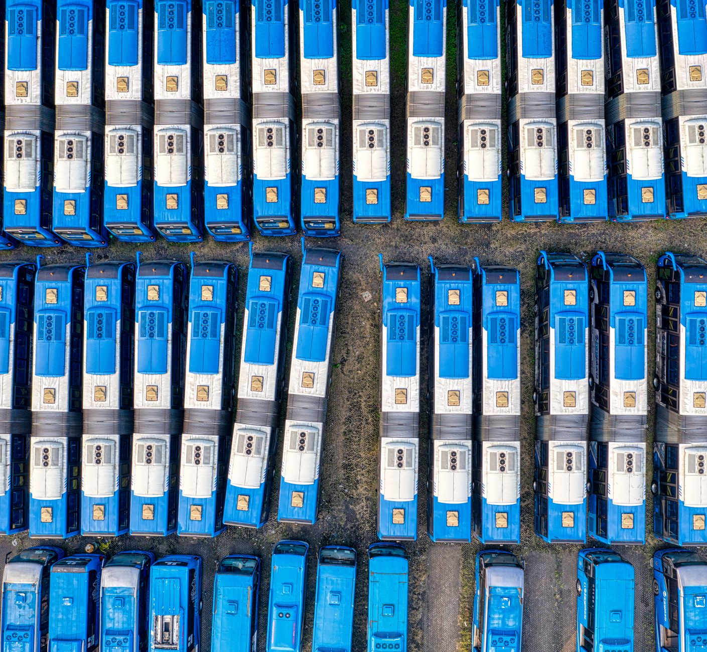 A striking aerial view of blue buses perfectly aligned in rows, showcasing urban transportation.